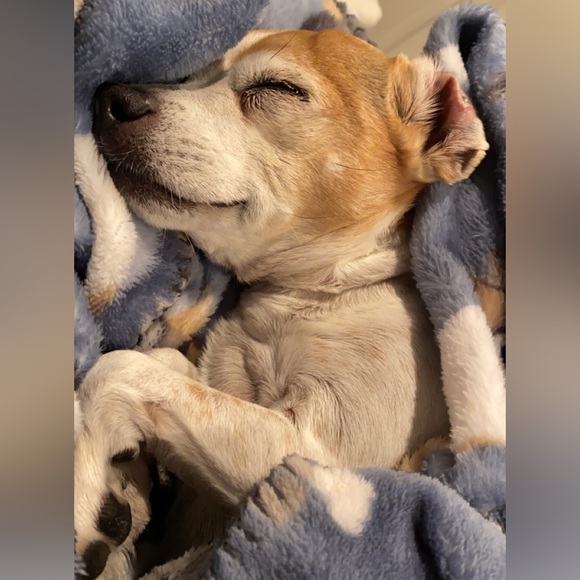 !!Meet Your Posher!! - Picture 5 of 5